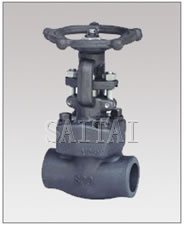 Forged Steel Bolted Bonnet Gate Valves, Threaded and Socket weld