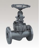 Globe Valves