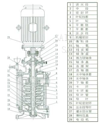 DL、DLR多级泵结构图片